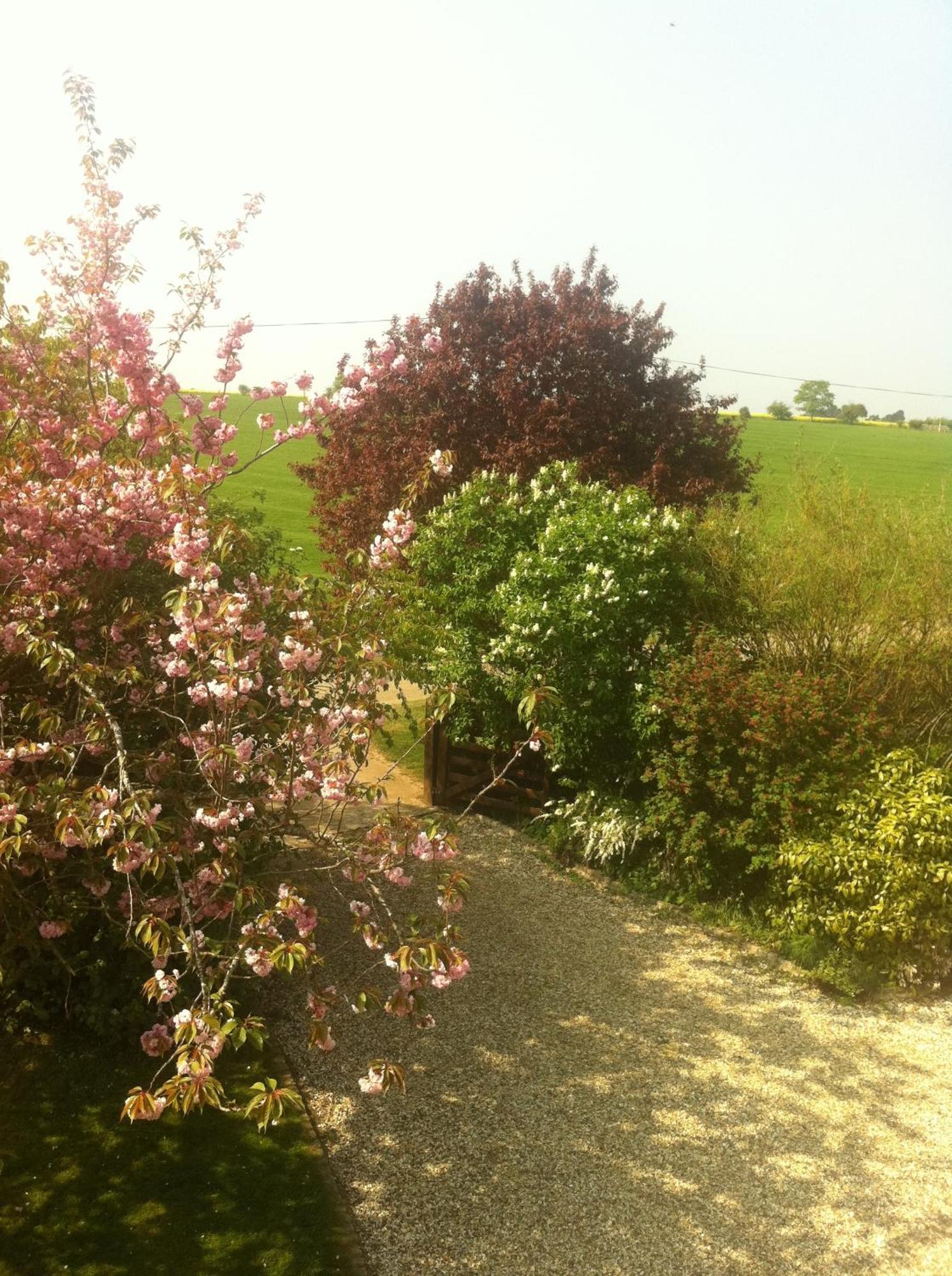 Whitchurch Farm Guesthouse Alderminster Екстериор снимка